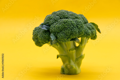 Broccoli isolated on yellow background.