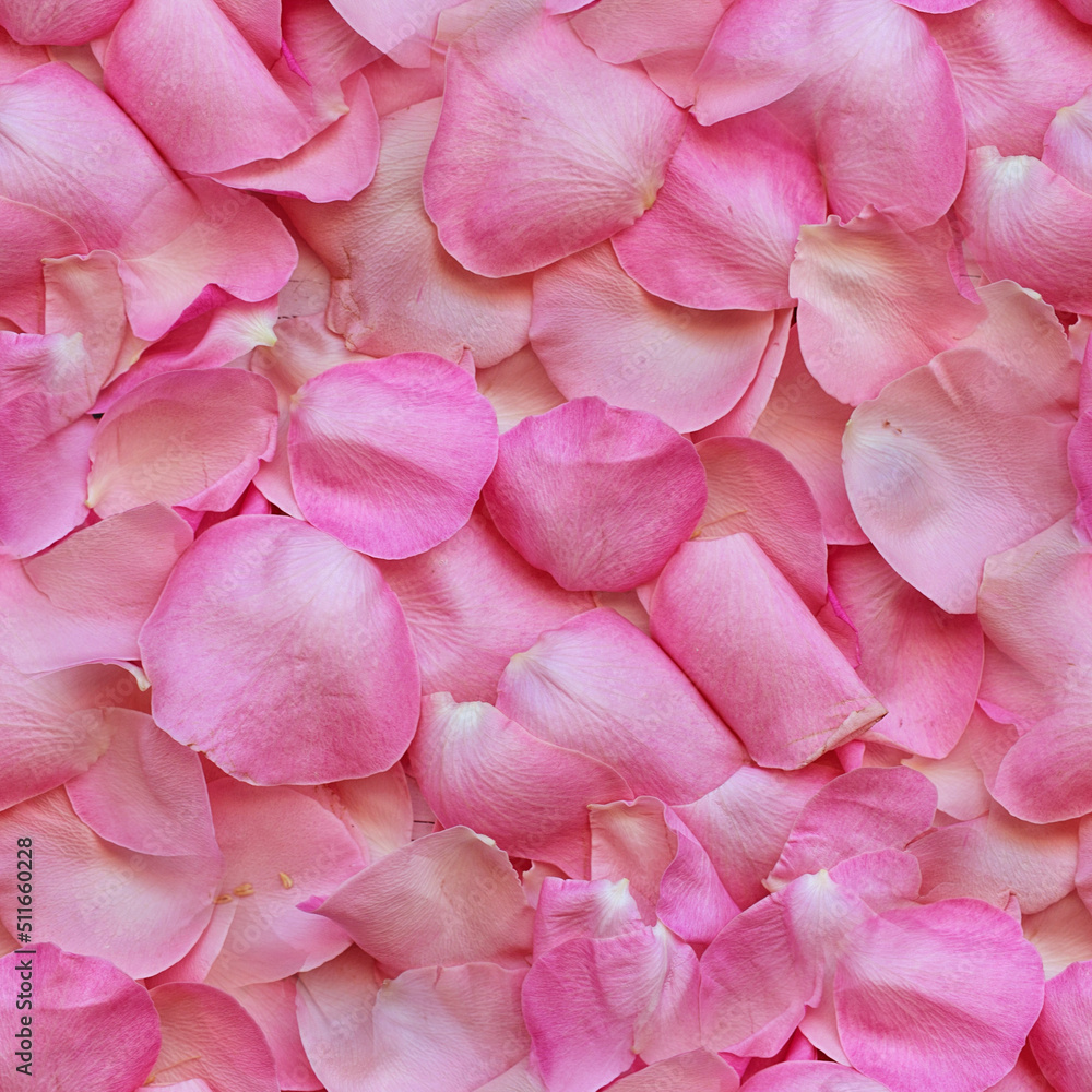 Seamless pattern with roses petals, closeup. Background of beautiful pink rose petals Seamless pattern with roses petals, closeup. Background of beautiful pink rose petals