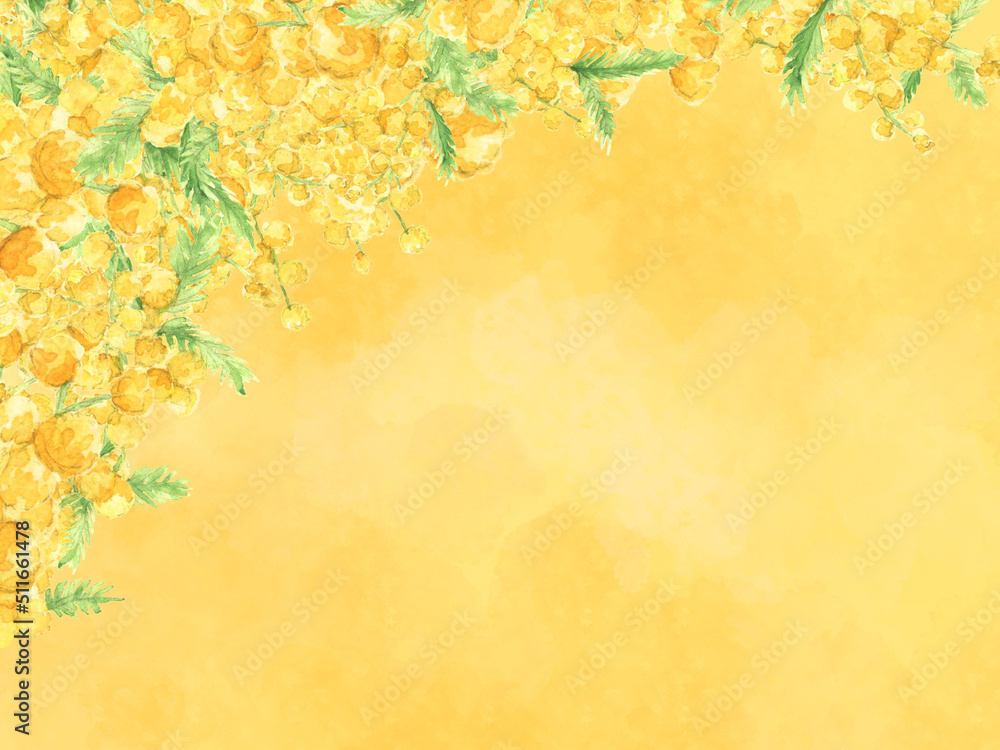 Fototapeta premium 水彩風ミモザ