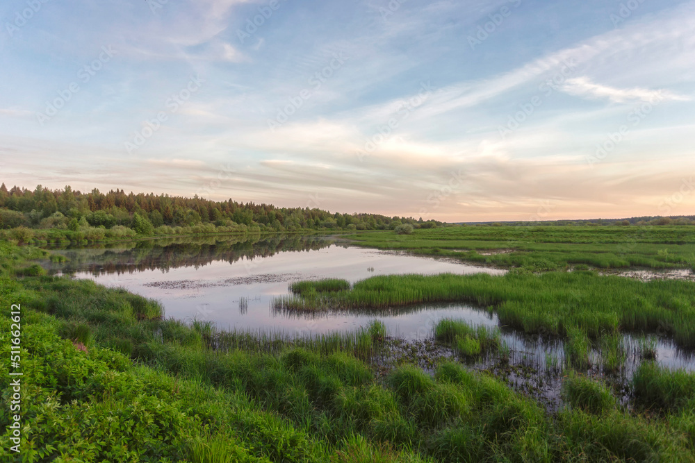 Beautiful swamp lakes, swamp moss and grass 