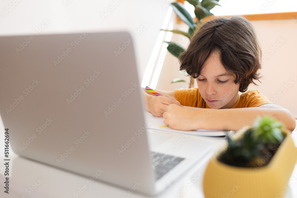 Child on online lesson, distance education Child on online lesson, distance education