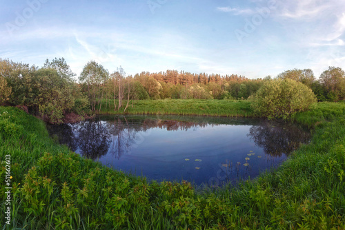 Beautiful swamp lakes, swamp moss and grass 