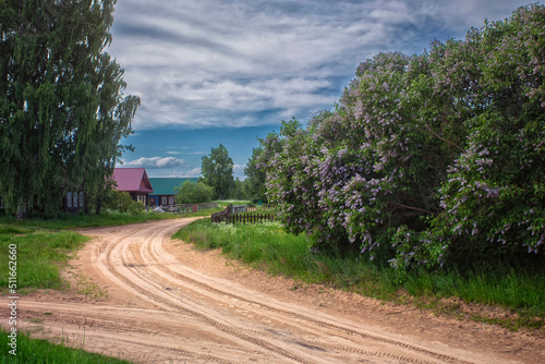 Blooming lilac bushes in a Russian village. The beauty of the Russian village.