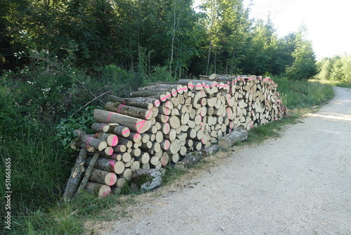 Harvester/Holz/Wald