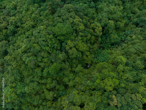 Aerial view of beautiful forest mountain landscape