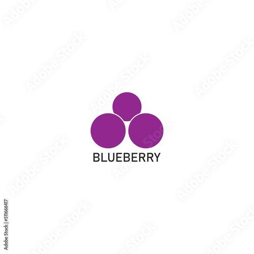 blueberry logo.