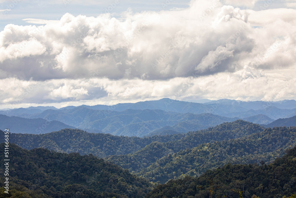 clouds over tropical forest