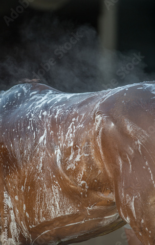 Close up of back and rump of horse being bathed shampoo water and suds on coat of bay horse with white soapy suds steam coming off of horses back vertical format room for type 