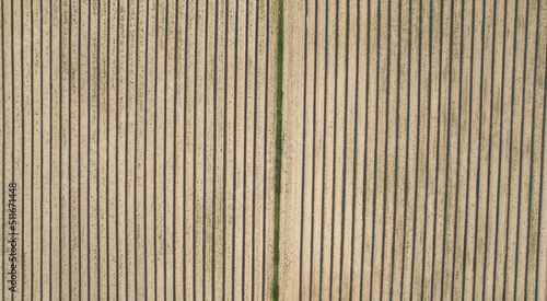 pole przygotowane do uprawy z drona z góry photo