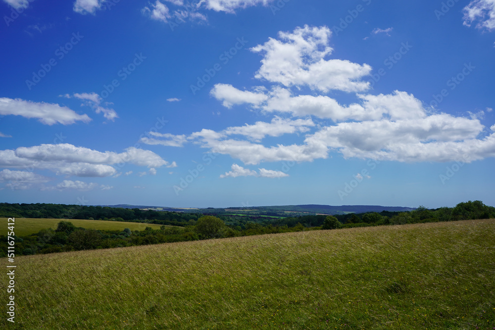 View of a grass field and blue sky's with clouds View of a grass field and blue sky's with clouds