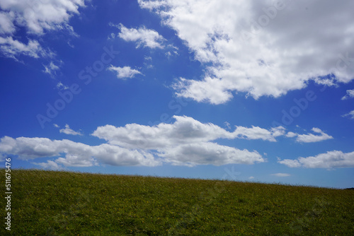 View of a grass field and blue sky s with clouds