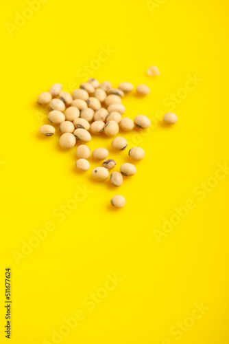 Dry soybean seed on yellow background.