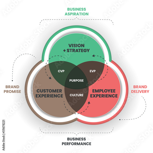 Culture and business strategy venn diagram. Employer brand is a strategy that takes your culture, vision and purpose and creates an authentic story to to improve employee experience of organization. 