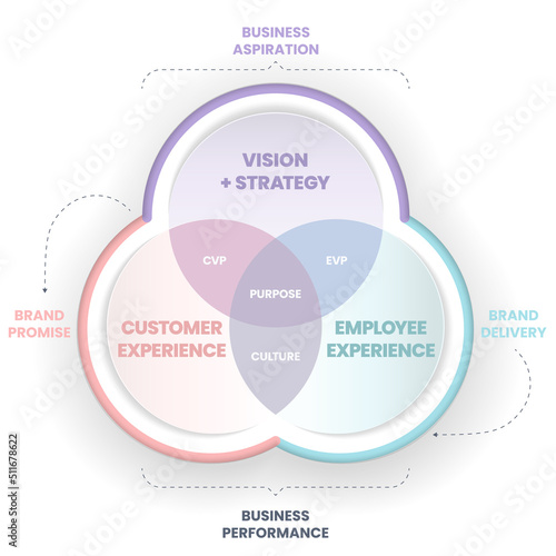 Culture and business strategy venn diagram. Employer brand is a strategy that takes your culture, vision and purpose and creates an authentic story to to improve employee experience of organization. 