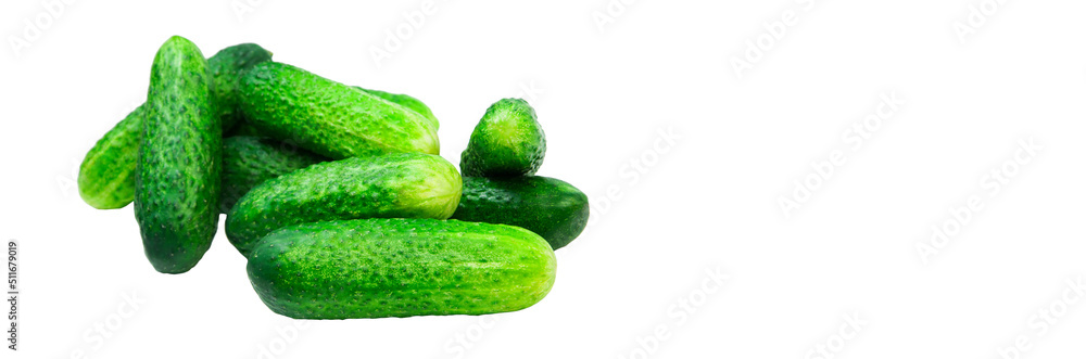 green cucumbers on a white background. ripe gherkins on a table. fresh vegetables on a light texture. the concept of growing cucumbers green cucumbers on a white background. ripe gherkins on a table. fresh vegetables on a light texture. the concept of growing cucumbers
