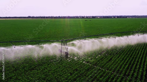 Irrigation of agricultural field. Water sprinkler system working on vegetable plantation. Large agriuclture field and mechanical irrigation system. Smart agriculture eco farming concept artificial photo