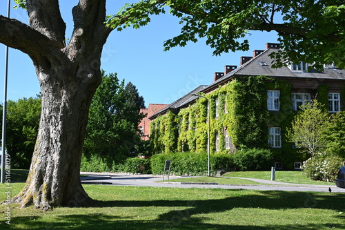 Historisches Gebäude der Universität in Aarhus in einem weitläufigen Park gelegen