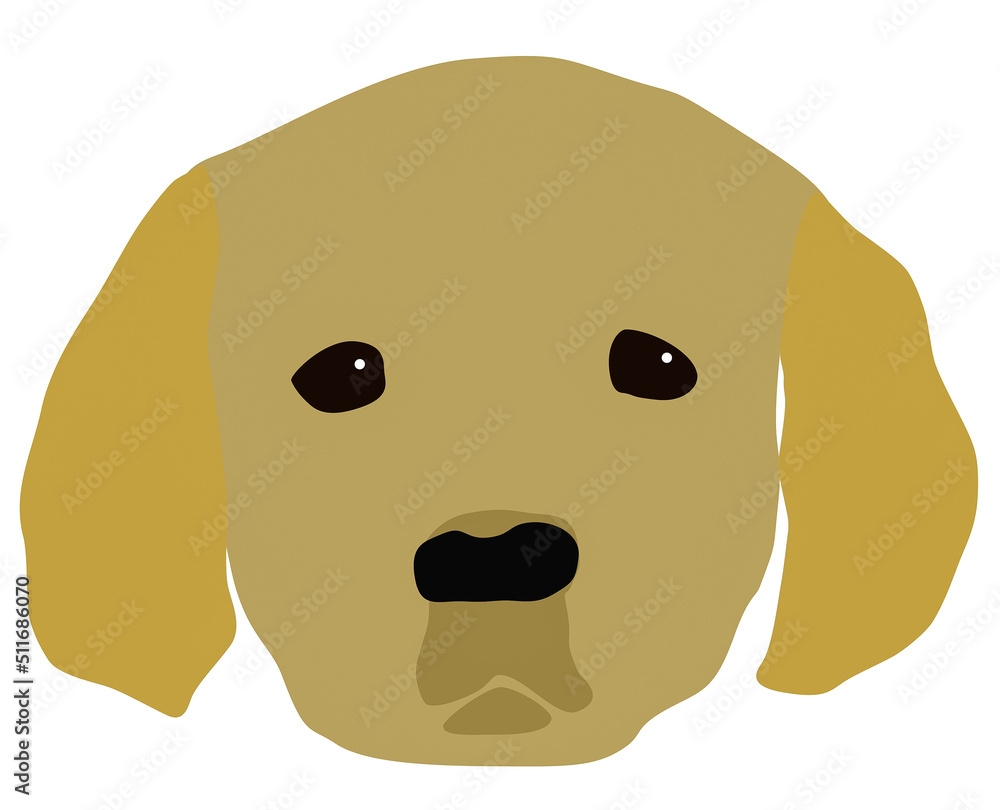 Fototapeta premium A graphic illustration of A Labrador puppy face for use as an icon, logo or web decoration
