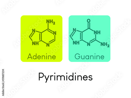 Pyrimidines Nitrogenous bases. Nucleotide used in DNA and RNA synthesis chemical structure on colorful background.