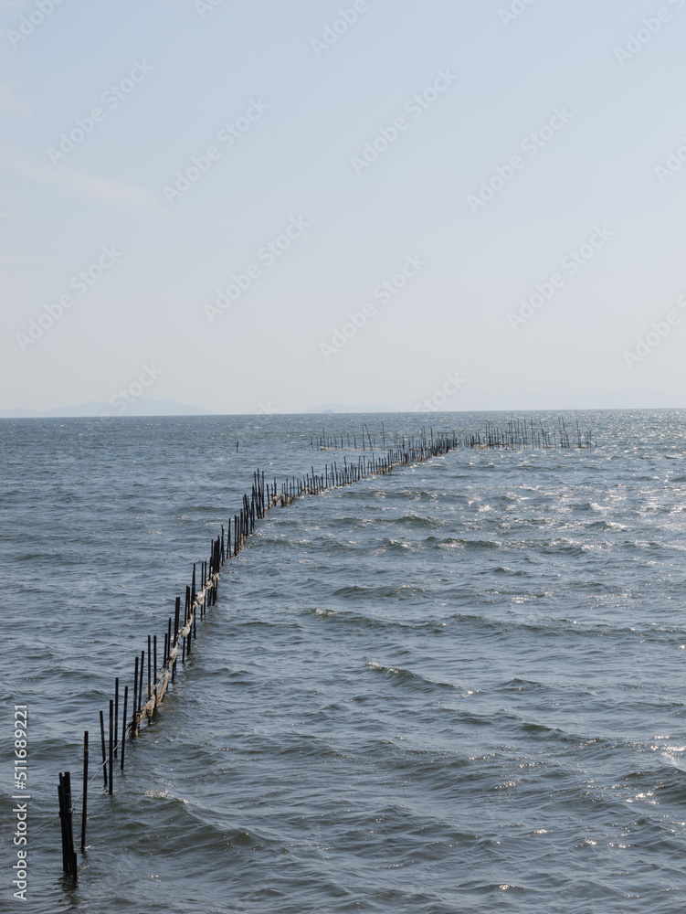 Fototapeta premium Many wooden piles floating on the sea on a sunny day