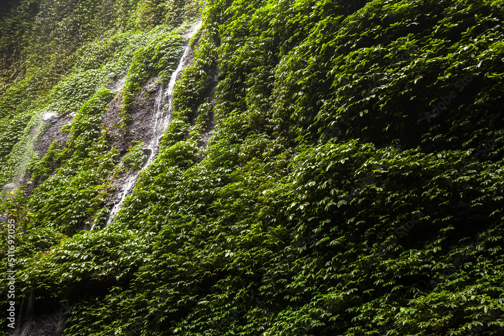 Madakaripura Waterfall in Surabaya, Indonesia Madakaripura Waterfall in Surabaya, Indonesia