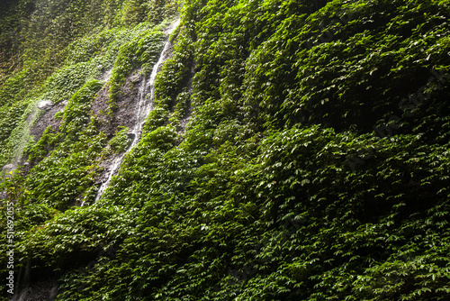 Madakaripura Waterfall in Surabaya, Indonesia photo