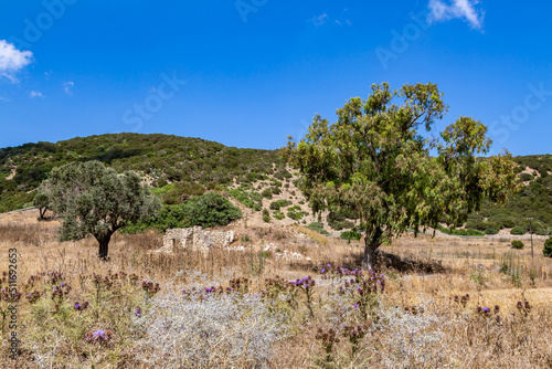 An arid landscape on the Island of Cyprus
