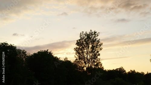 sunset over trees time lapse wonderufl red orange sundwon in the evening