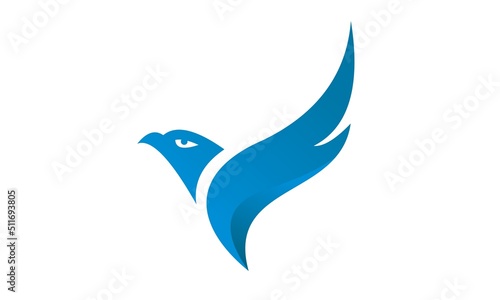 blue eagle bird vector design