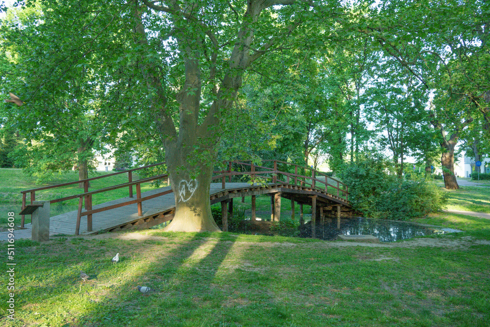 charakter, krajobraz, drewna, drzew, gras, dom, brydż, drzew, bory, architektura, ogrodzenia, drewniane, lato, jardin, park, droga, obszarów wiejskich, woda, niebo, countryside, außenaufnahme, stary, 