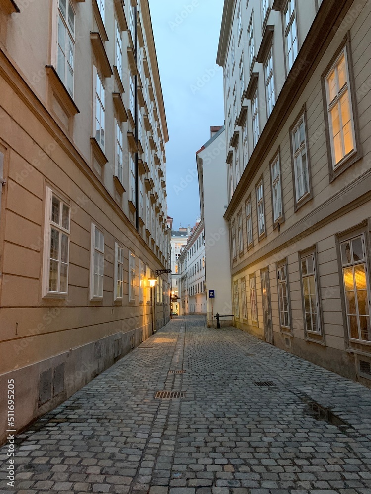 Viennas beautiful old streets 