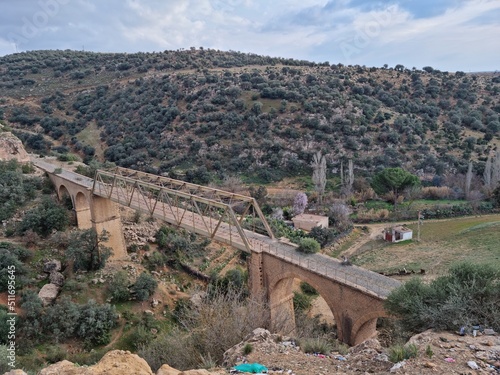 An old train bridge in the middle of nature in Tiaret, Algeria