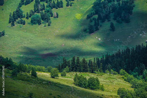 The beautiful summer landscape in Arkhyz