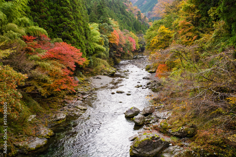 みたらい渓谷(奈良県吉野郡天川村)の紅葉 みたらい渓谷(奈良県吉野郡天川村)の紅葉