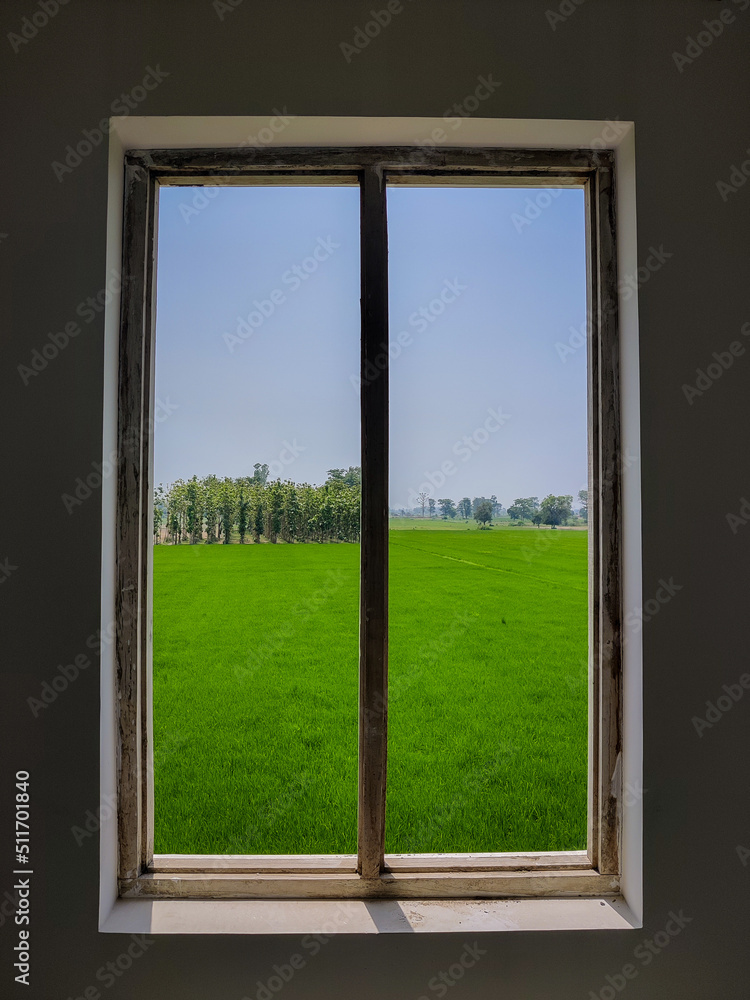 window with green grass window with green grass