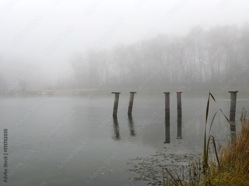 piles sticking out of lake water foggy nature landscape piles sticking out of lake water foggy nature landscape