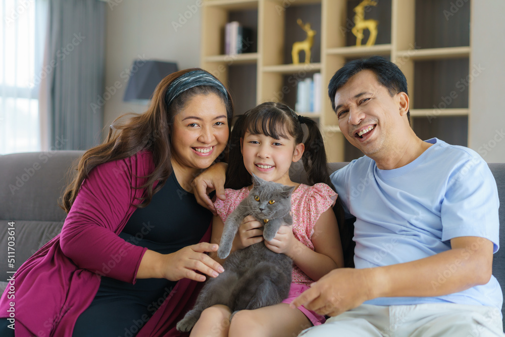 Happy Asian family time playing with their cat in the living room on the couch or sofa at home. Happy Asian family time playing with their cat in the living room on the couch or sofa at home.