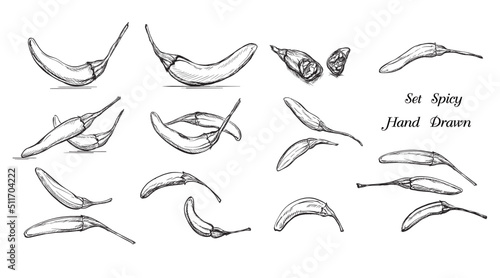 llustration Hand drawn ,Set fresh chili on white background, outline monochrome ink style for artwork, logo, packaging vector .