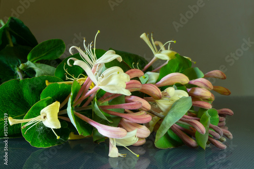 Blackenning rowanberry with reflection on black background.
