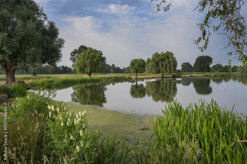 Obraz premium Heron pond on a mid summers day