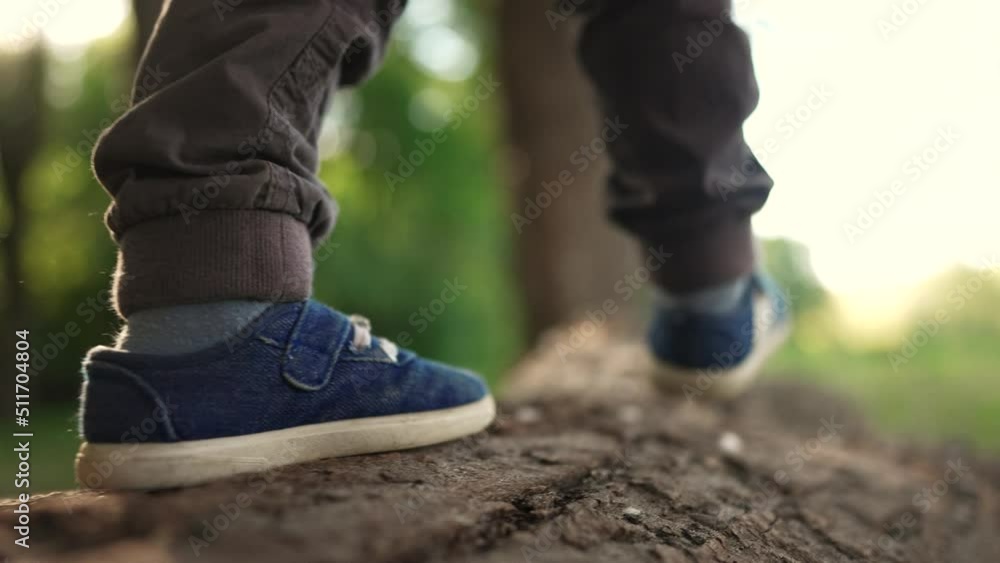 baby boy playing in the forest park. close-up child feet walking on a fallen tree log. happy family kid dream concept. a child in sneakers walks on a fallen tree in lifestyle park baby boy playing in the forest park. close-up child feet walking on a fallen tree log. happy family kid dream concept. a child in sneakers walks on a fallen tree in lifestyle park
