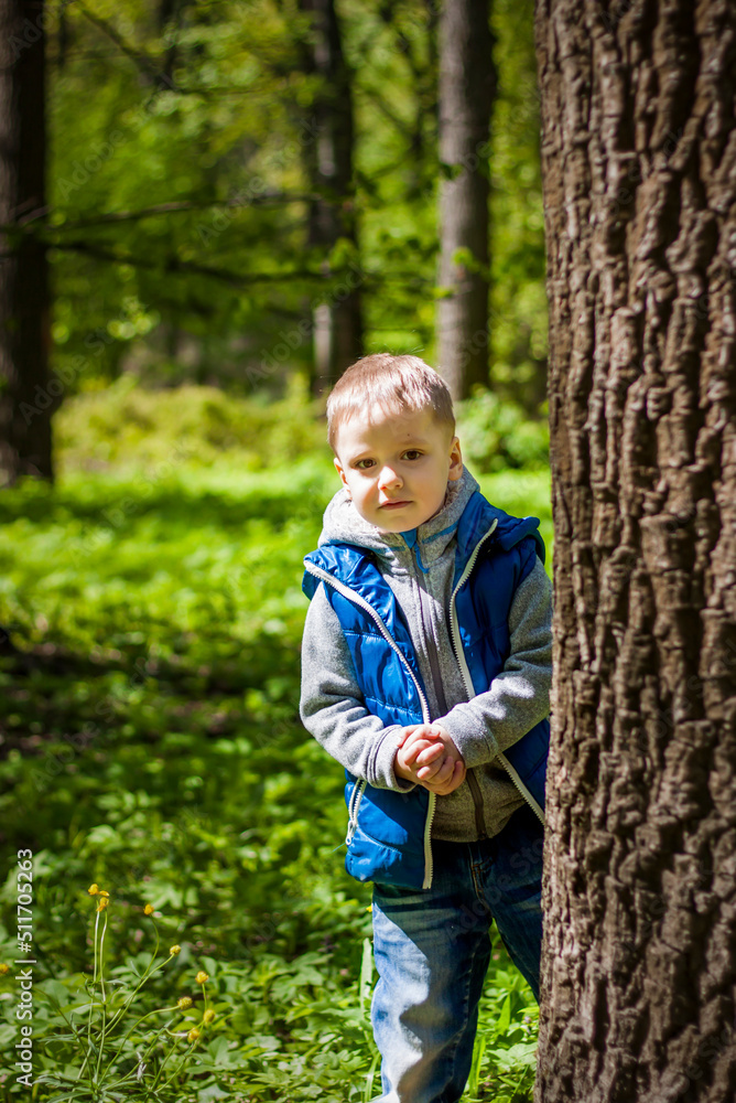 Portrait of a boy in a blue tank top in the woods in spring. Take a walk in the green park in the fresh air. The magical light from the sun's rays falls behind the boy. Portrait of a boy in a blue tank top in the woods in spring. Take a walk in the green park in the fresh air. The magical light from the sun's rays falls behind the boy.