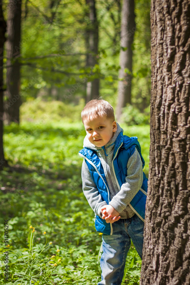 Portrait of a boy in a blue tank top in the woods in spring. Take a walk in the green park in the fresh air. The magical light from the sun's rays falls behind the boy. Portrait of a boy in a blue tank top in the woods in spring. Take a walk in the green park in the fresh air. The magical light from the sun's rays falls behind the boy.