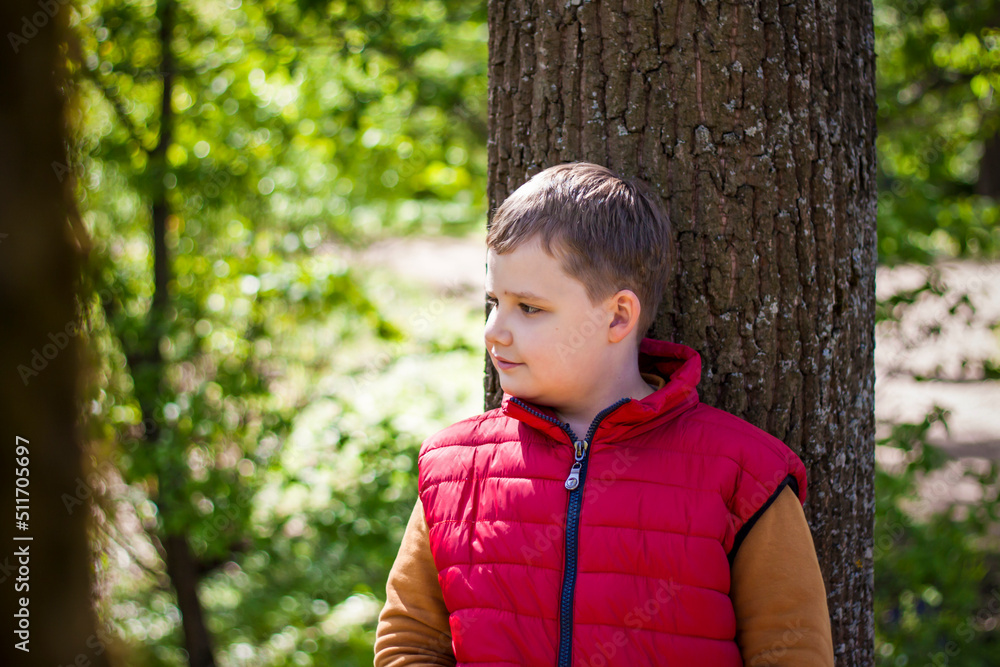 © Alina Lebed - Portrait of a boy in the forest in spring. Take a walk in the green park in the fresh air. The magical light from the sun's rays is left behind. Space for copying. Selective focus. © Alina Lebed - Portrait of a boy in the forest in spring. Take a walk in the green park in the fresh air. The magical light from the sun's rays is left behind. Space for copying. Selective focus.