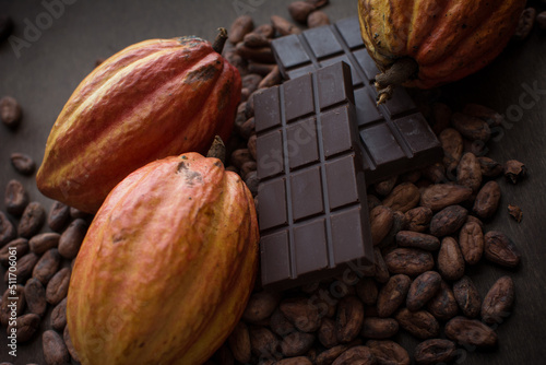 Cocoa pods. Yellow and orange cocoas. Cocoa beans. Trinitarian and Criollo cocoa. Chocolate bar. photo