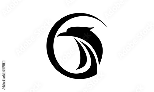 eagle falcon logo illustration