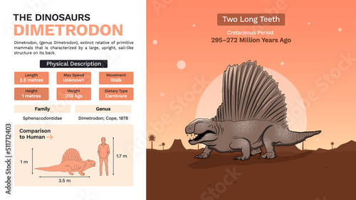 Description and Physical Characteristics of Dimetrodon-Vector Illustrations
