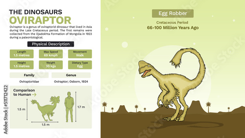 Description and Physical Characteristics of Oviraptor-Vector Illustrations