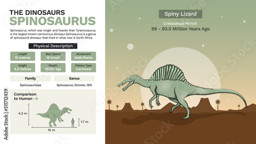 Description and Physical Characteristics of Stegosaurus-Vector Illustrations