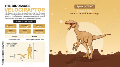 Description and Physical Characteristics of Velociraptor- Vector Illustrations